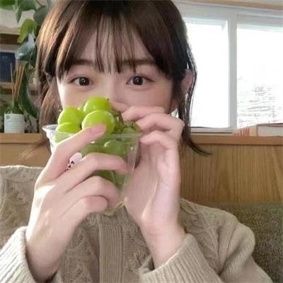 布烈松大道